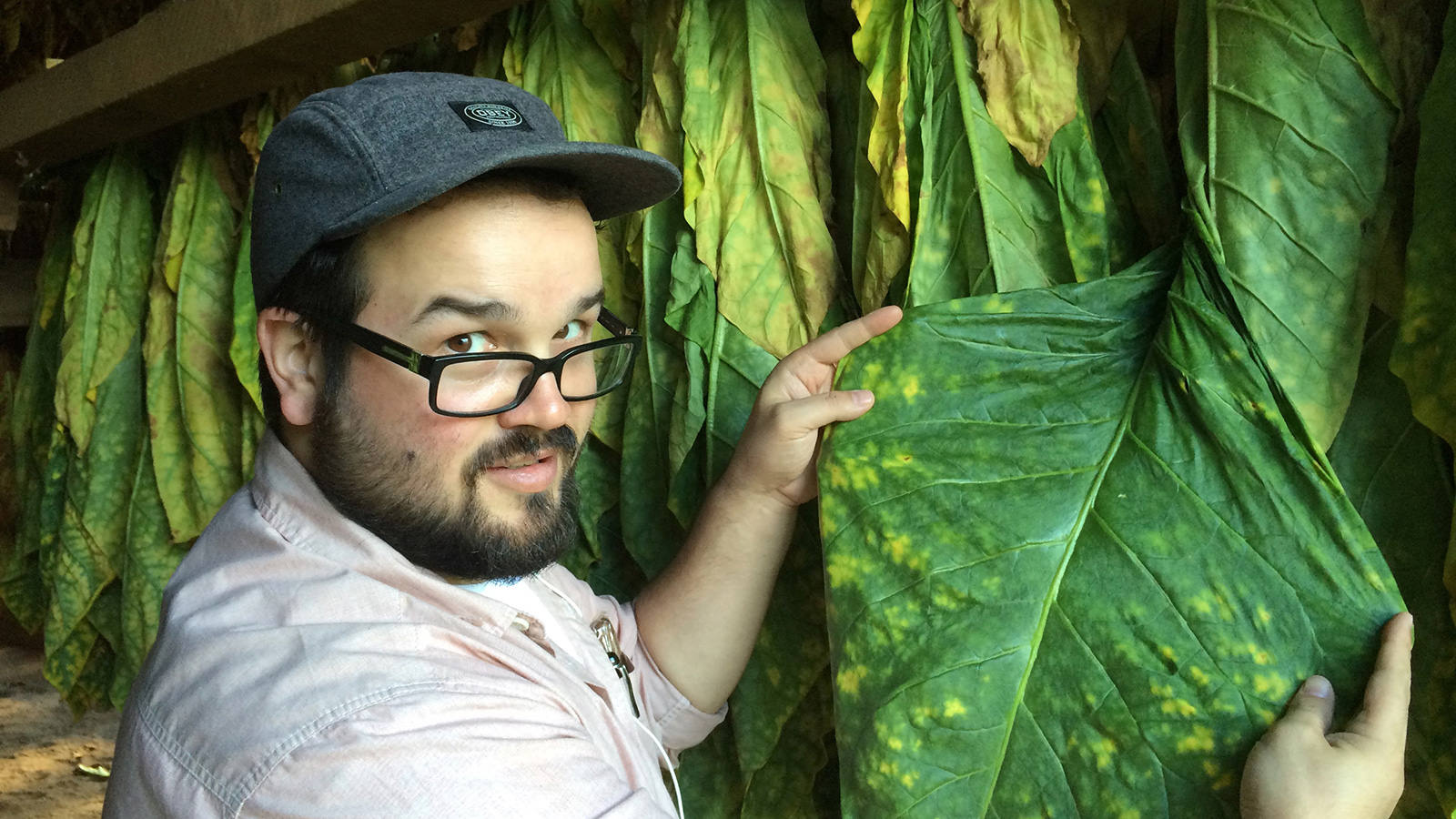 Q&A: Nick Melillo, Owner, Foundation Cigar Co.